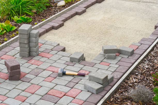 Best Professional Driveway Pavers  in Sierra Ridge, CO