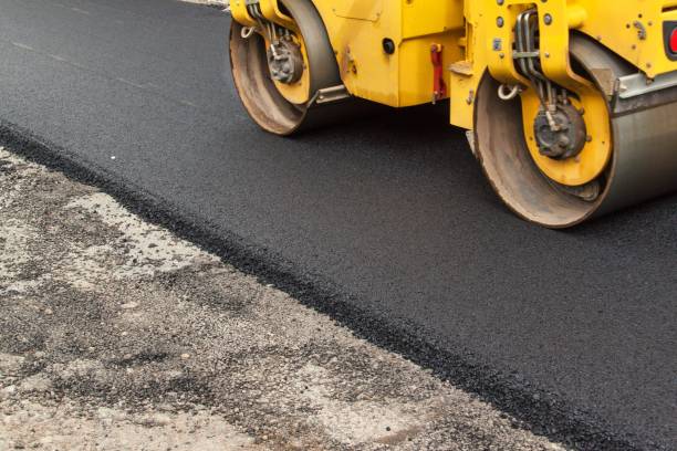 Best Residential Paver Driveway  in Sierra Ridge, CO